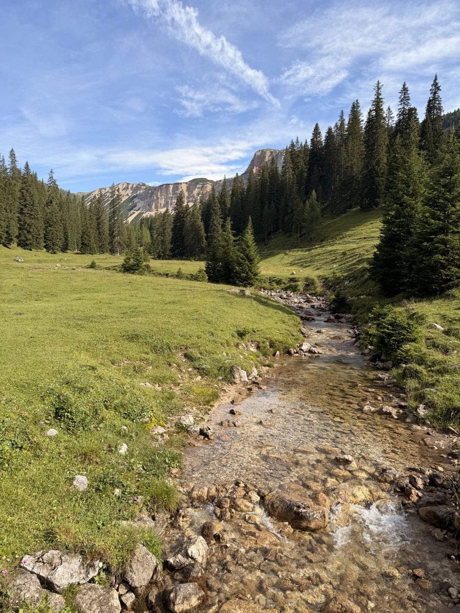 Rifugio Ra Stua - the stream through the Ra Stua valley