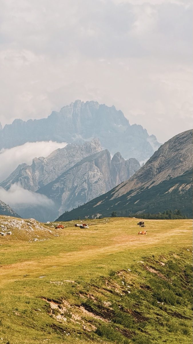 Rifugio Sennes - the meadow in front of the hut